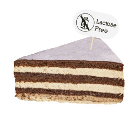 Palitos de Madeira Lactose Free (100 Uds)