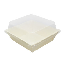 Tampa de Plastico PET Embalagem 480ml 14,3x12,3x3,3cm (12 Uds)