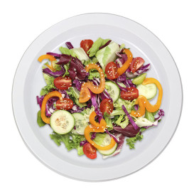 Prato Plano Reutilizável Económico PS Branco Ø22cm (300 Uds)